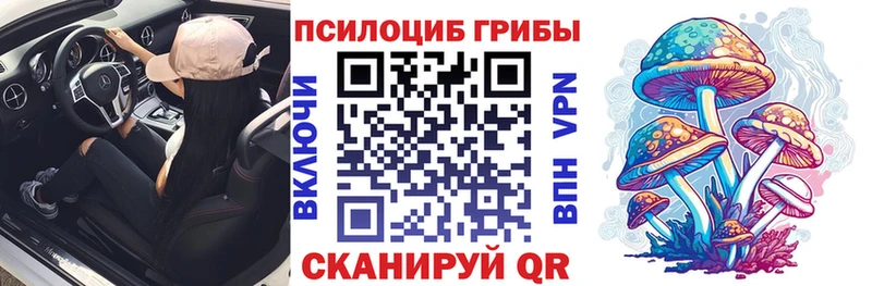 OMG как зайти  купить закладку  Константиновск  Галлюциногенные грибы Cubensis 